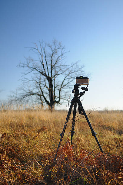 Câmara num tripé no campo - fotografia de stock