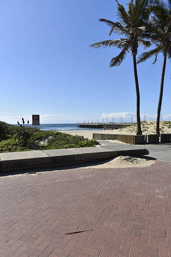 Durban (South Africa), North Beach. Paved promenade, beach entrance, palm trees, some dune vegetation including aloe plant, sandy beach, pier in the background, a few people in the distance, some people with surfboards, bright morning sunshine, Indian Ocean, blue sky and a few clouds.