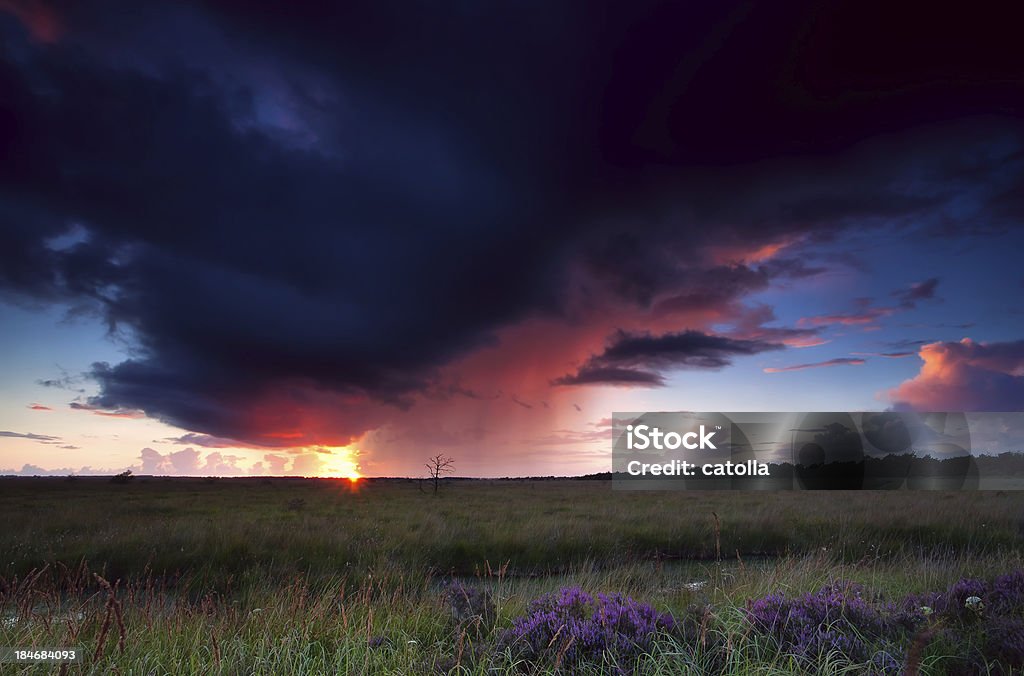 드라마틱 뇌우 over heathland - 로열티 프리 0명 스톡 사진