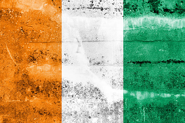 istock Ivory Coast Flag painted on grunge wall 184684252
