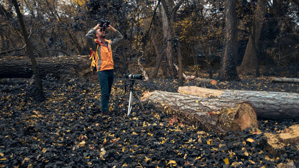 istock Man using binoculars and camera for bird and animal watching in nature. 1846847525