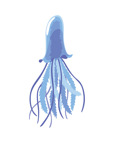 Jellyfish. Sea wildlife or ocean fauna concept. Aquatic underwater or undersea animal. Creative medusa flat icon for web design. Colorful swimming marine creature.