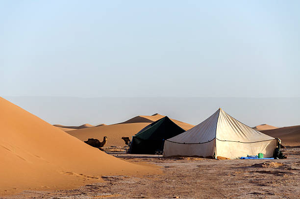 istock Morocco, Draa valley, tents and dromedaries 184687826