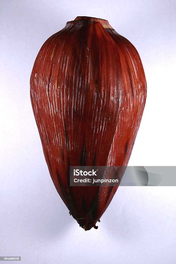 Сердце Банановый Blossom или Почка-стадия развития растения - Стоковые фото Банан роялти-фри