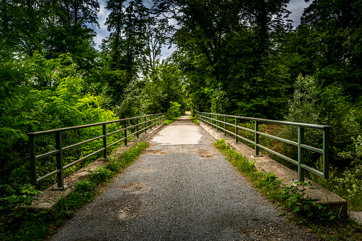 footbridge in forest