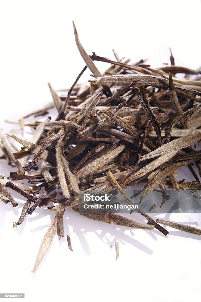 silver needle Tee Blätter auf weißem Hintergrund - Lizenzfrei Nadel - Pflanzenbestandteile Stock-Foto