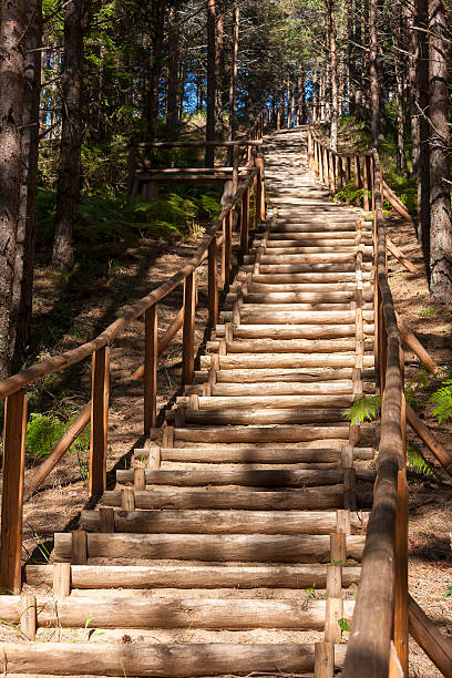 istock Wooden stairs in forest 184690036