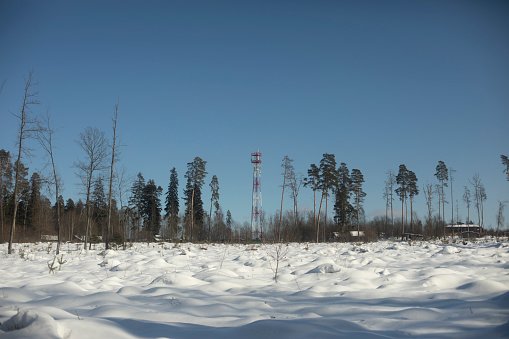 Winter field. Felled forest. Antenna in the distance. Open space in winter.