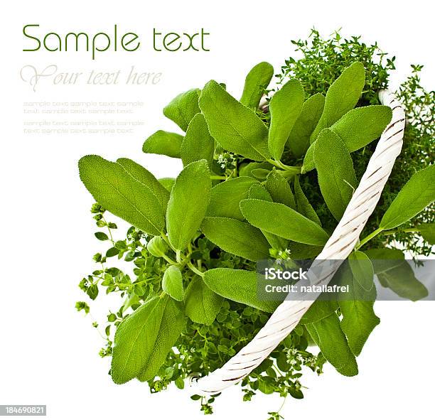 Plantas Aromáticas Num Cesto - Fotografias de stock e mais imagens de Alecrim - Alecrim, Alimentação Saudável, Antigo