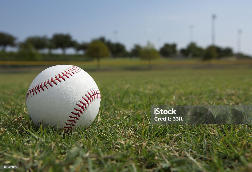 Baseball w Outfield - Zbiór zdjęć royalty-free (Baseball)