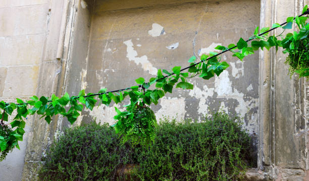 istock lecce puglia italy 1846925225