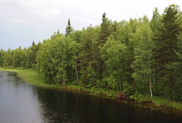 istock Coast of the river 184693161