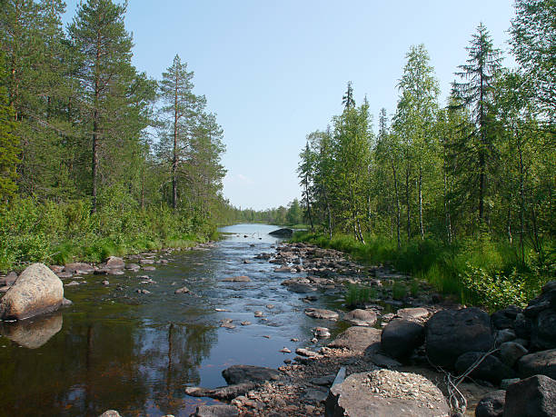istock Coast of the river 184693171