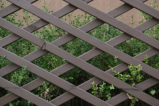 istock flower garden Wooden wall 184693401