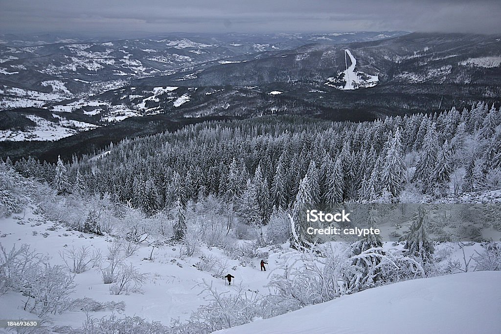 Solitario escursionisti wade da neve in montagna - Foto stock royalty-free di Abete