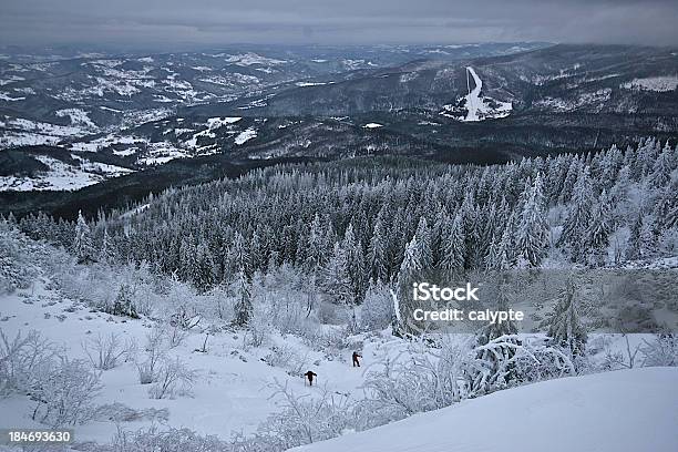 Solitario Escursionisti Wade Da Neve In Montagna - Fotografie stock e altre immagini di Abete - Abete, Albero, Ambientazione esterna