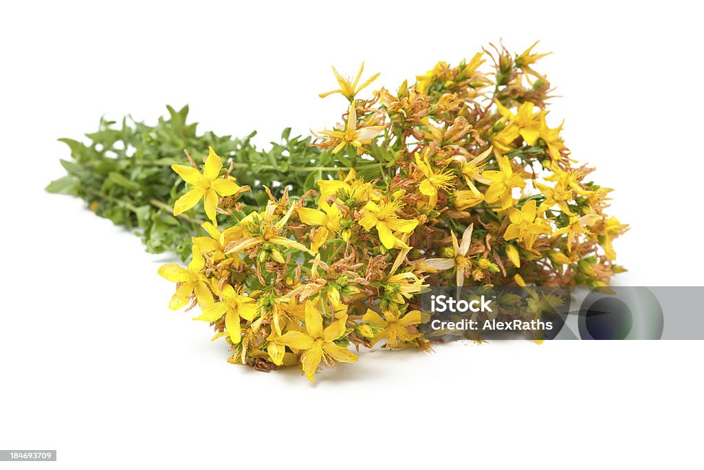 Hypericum perforatum - Royalty-free Amarelo Foto de stock