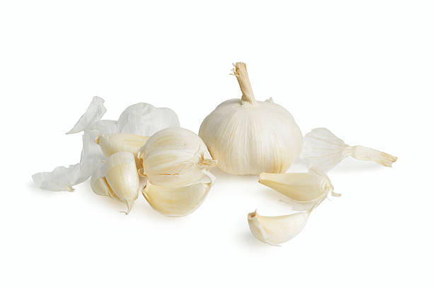 Garlic isolated on white background stock photo