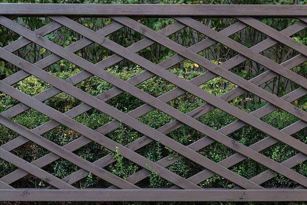 istock flower garden Wooden wall 184694468