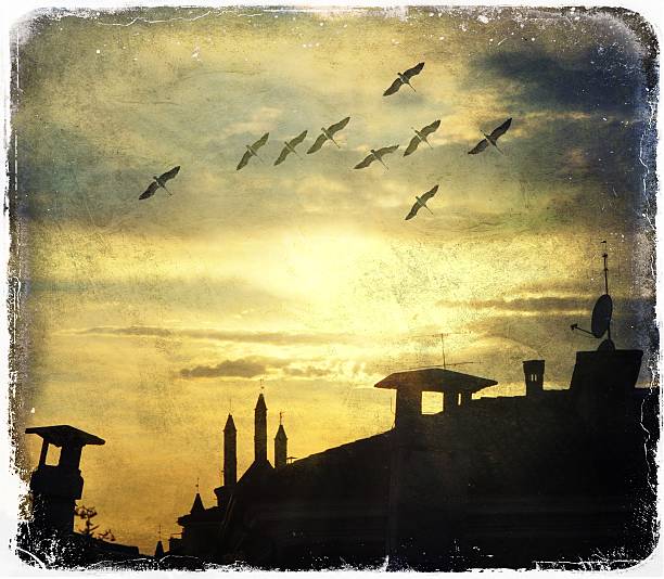 istock View of the rooftops in evening 184695732