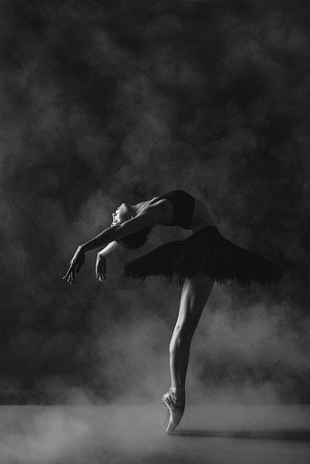 Beauty of ballet. Black and white photo