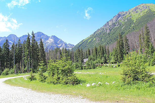 istock beautiful view on the Tatra Mountains, Poland 184696873