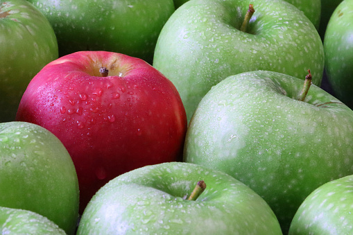 Stock photo showing close-up view of a red apple on top of a group of green Granny Smith apples with shiny, speckled skin. Odd one out concept.