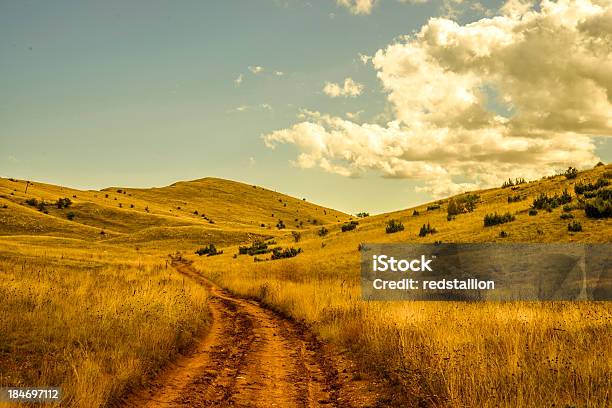 A Estrada De Montanha - Fotografias de stock e mais imagens de Amarelo - Amarelo, Ao Ar Livre, Calor