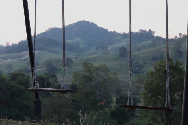 istock Empty swing made of plank and hang by rope  with green background 1846973186