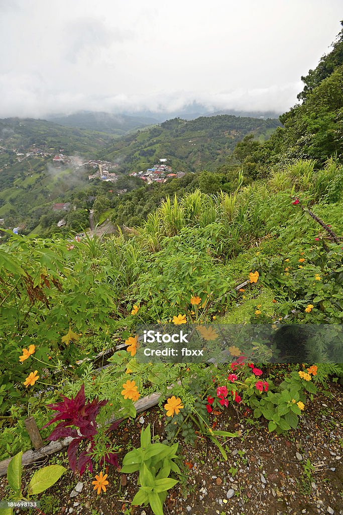Lussureggianti colline verdi - Foto stock royalty-free di Albero