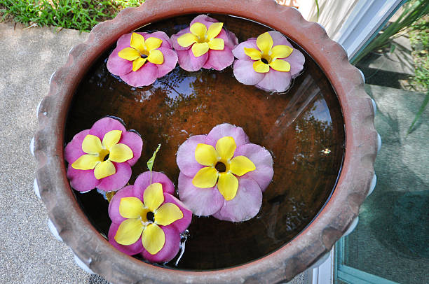 istock Colorful flowers. 184700269