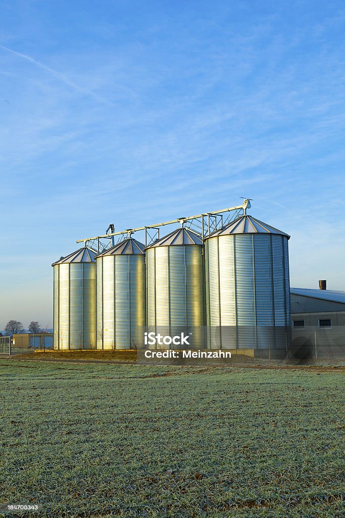 Campo de colheita com silo - Foto de stock de Agricultura royalty-free