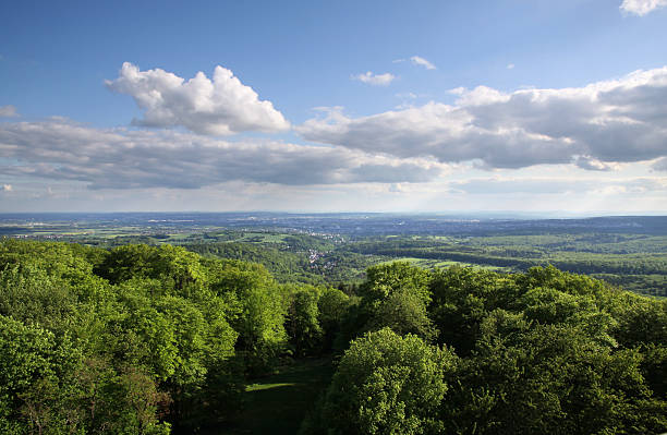 istock Views of the Taunus forest 184700350