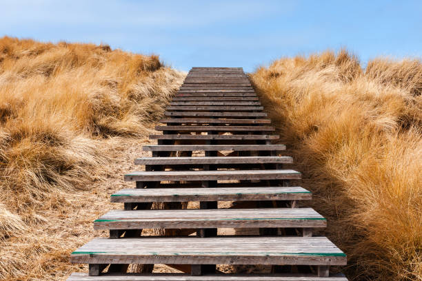 A timber stair in dunes with blue sky