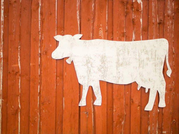 istock Red rustic wooden barn facade  with cow stencil for text, farming concept 1847028900