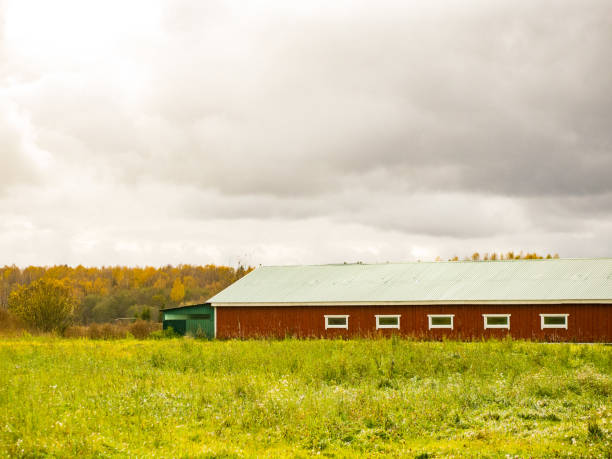 istock Old red barn on a farm. farming 1847028921
