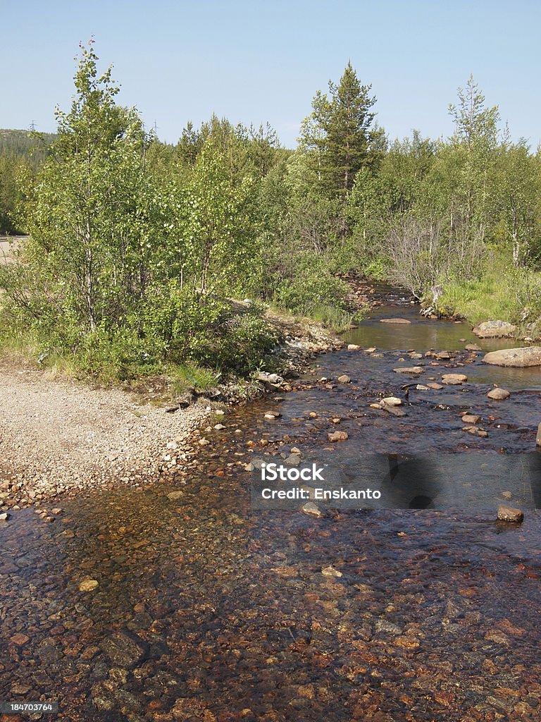 Rivière - Photo de Arbre libre de droits