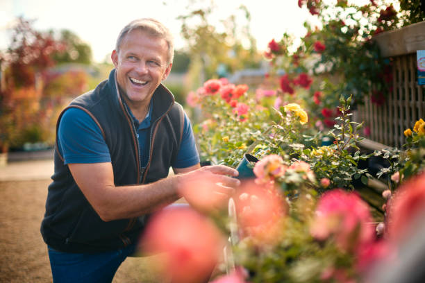 istock Mature Man Working Outdoors In Garden Centre Checking Rose Plants 1847038938
