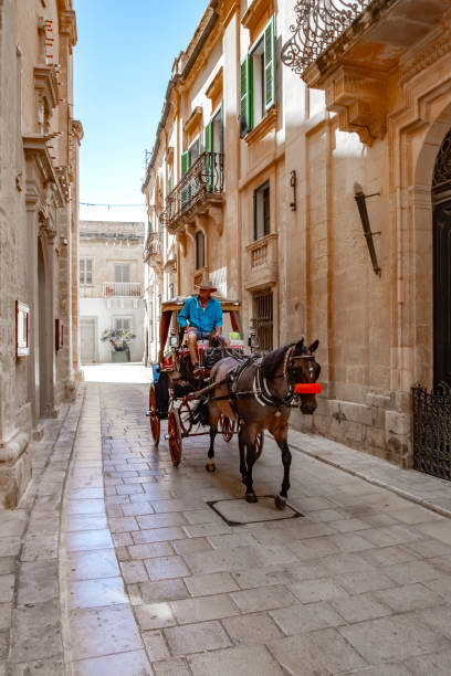 Mdina, Malta - June 2, 2022: Maltese man riding a horse drawn carriage in the ancient town of Mdina, Malta. The horse drawn carriages are available for hire by tourists visiting Malta's old capital of Mdina, wishing to see the beautiful, narrow streets and colourful architecture.