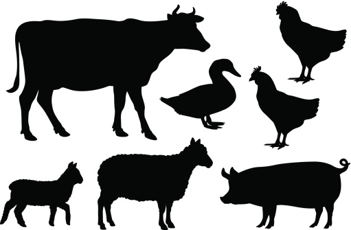 Vector farm animal silhouettes including cow, sheep, lamb, pig, duck and chickens.