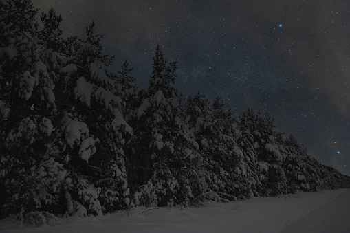 Night scene, Estonian nature, snowy forest and starry sky. High quality photo
