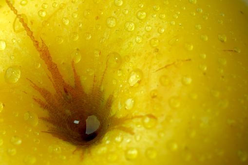 Yellow ripe apple with dew drops on the peel, close-up, conceptual abstract art image, macro
