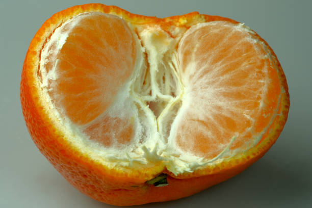 Slices of peeled ripe tangerine close-up ストックフォト