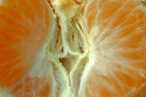 Slices of peeled ripe juicy tangerine fruit close-up, conceptual abstract art image, macro