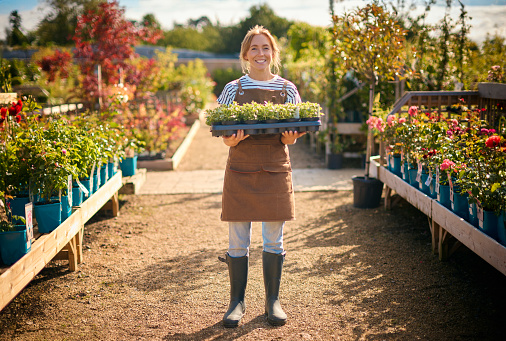 Portrait Of Woman Working Outdoors In Garden Centre Carrying Tray Of Seedling Plants