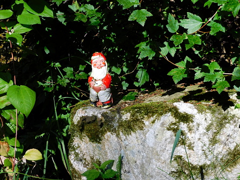 A little garden gnome on a mossy rock