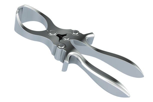 Emasculator banding, veterinary Instrument. Castration Plier, emasculator for livestock. 3D rendering isolated on white background