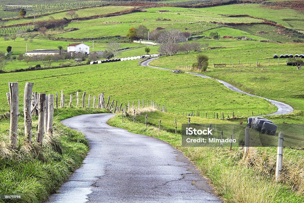 La route countyside - Photo de Agriculture libre de droits