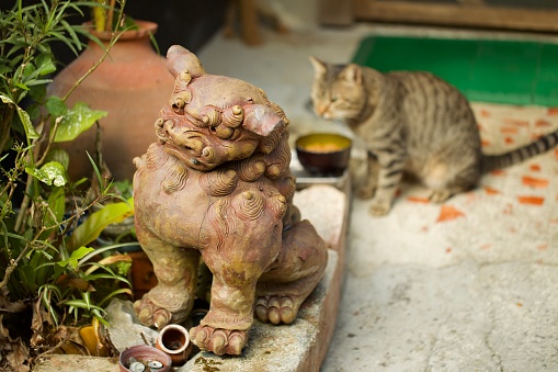 A tabby cat sitting behind a shisa statue in Okinawa, Japan. Intentional background blur.