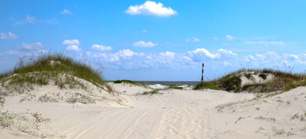 spiaggia dell'isola di cumberland qui - sand dune cumberland island beach sand foto e immagini stock